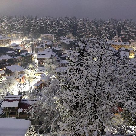 Ambika Bliss Bed & Breakfast Manali  Luaran gambar
